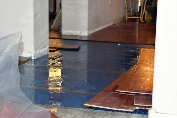 Professional Basement Water Removal technician working in Brant, MI