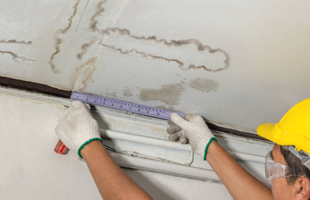 Reliable Basement Water Removal contractor in Brant, MI by Water Damage Irwin